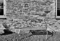 DSC_4711sw