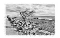 DSC_5734 -2b