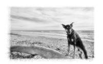 DSC_5766 -2b