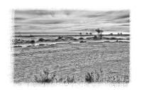 DSC_5845 -2