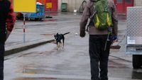 DSCF0464