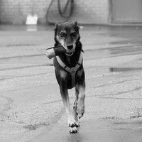 DSCF0466-Bearbeitet-MR1